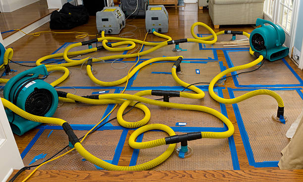Professional Storm Water Damage Restoration technician working in Olden, TX